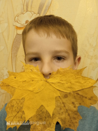Михаил Бобров