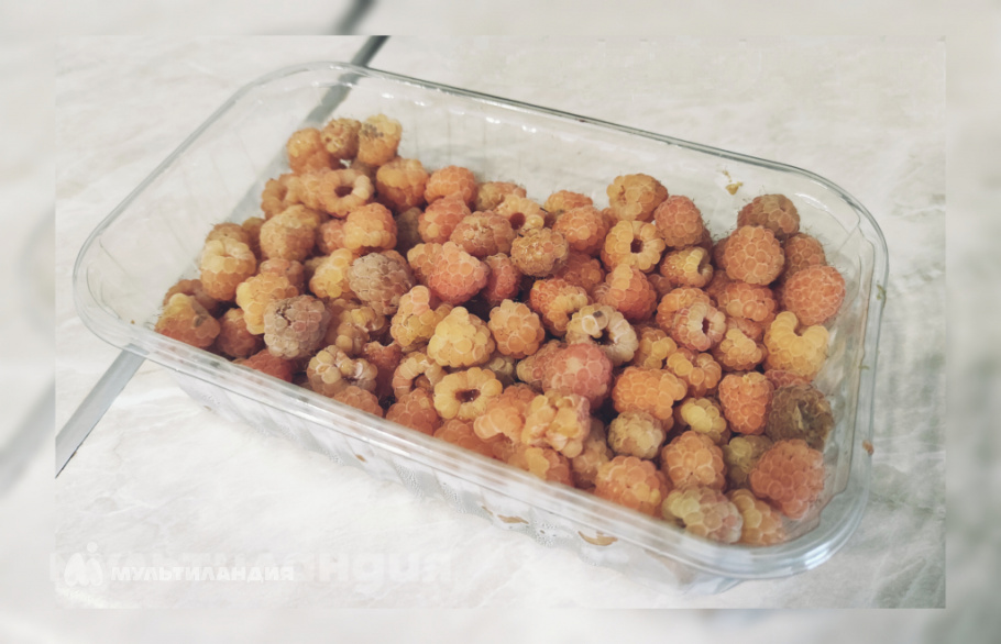 Антонина Воронина