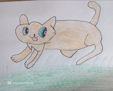 Курмышов Дамир