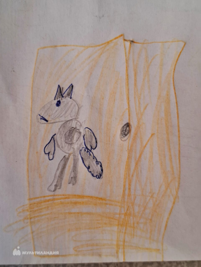 Некрасова Эльза