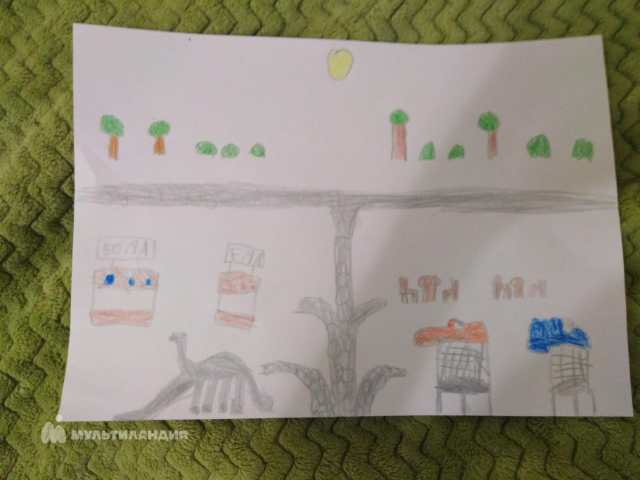 Карпушин  Савелий 