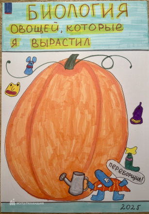 Цапенко Алиса