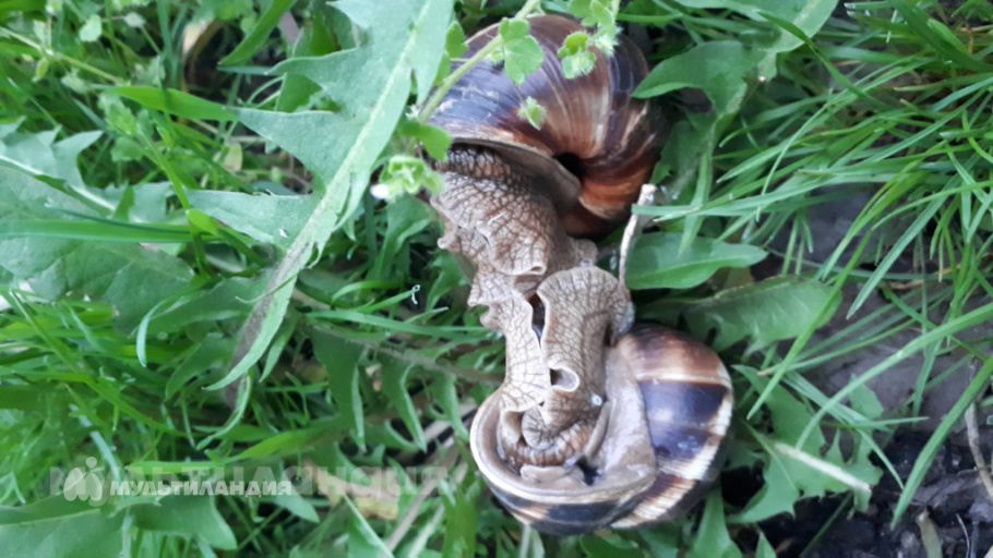 Зайцева Дарья