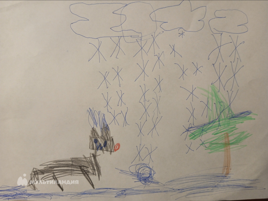 Петухов Михаил