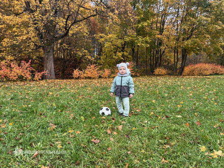 Резниченко  Максим 