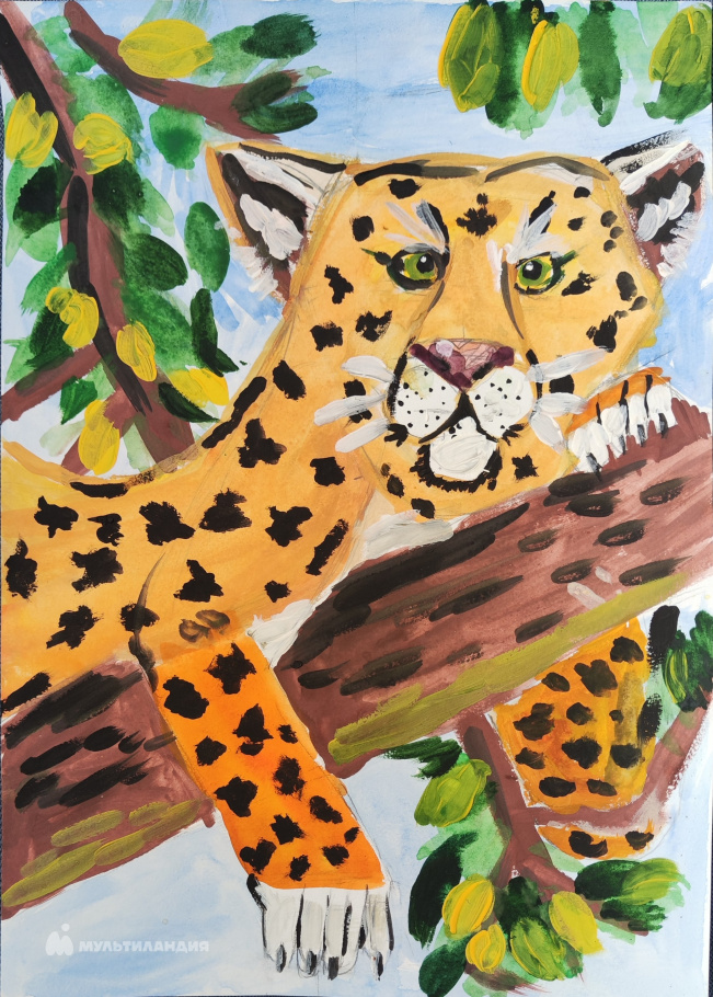 Николаенко Михаил