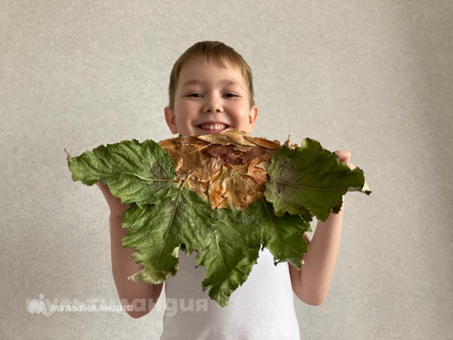 Перфильев Глеб