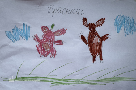 Федченков Антон