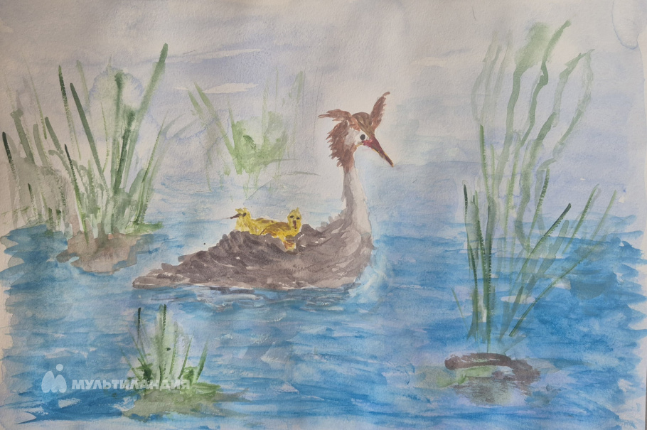 Сергиенко  Екатерина 