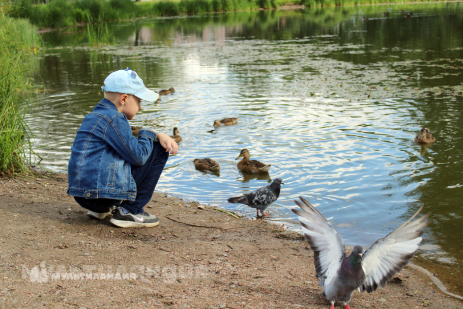 Александр Асанов