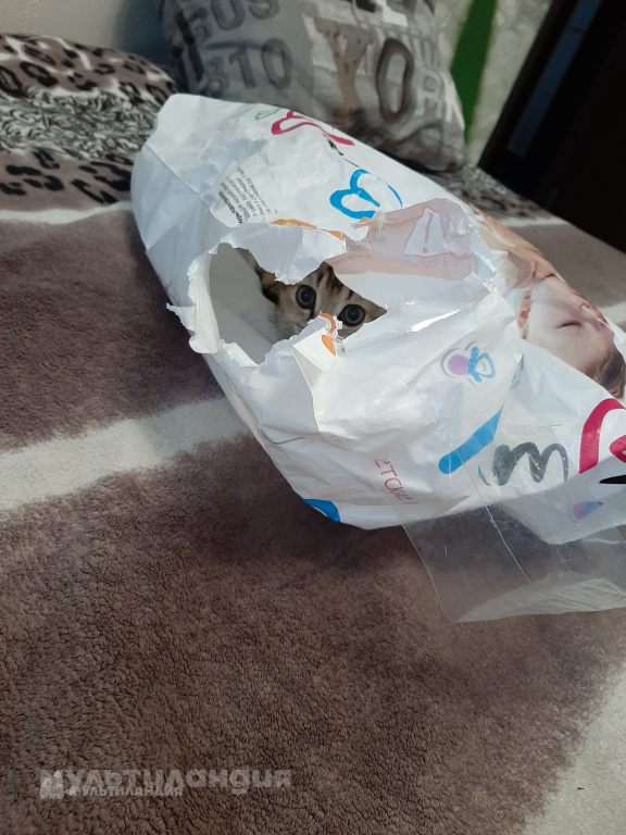 Суботкевич Мирослава