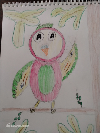 Ванькова Надежда 