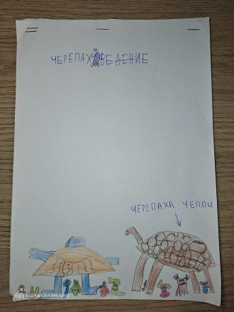 Каширский  Назар