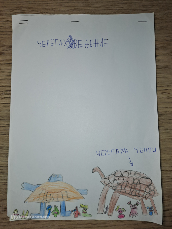 Каширский  Назар