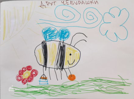 Гималов Роберт