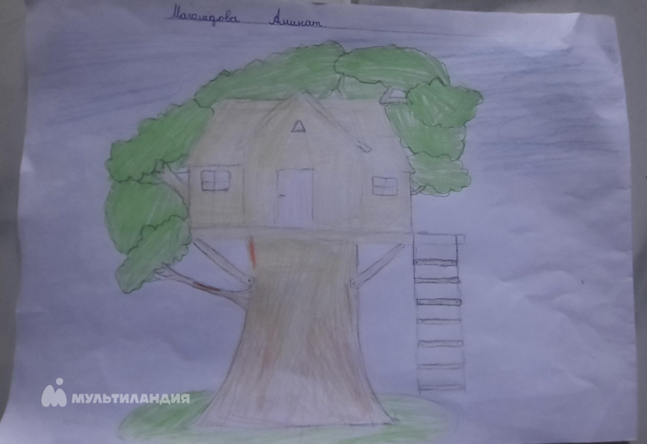 Магомедова  Аминат 