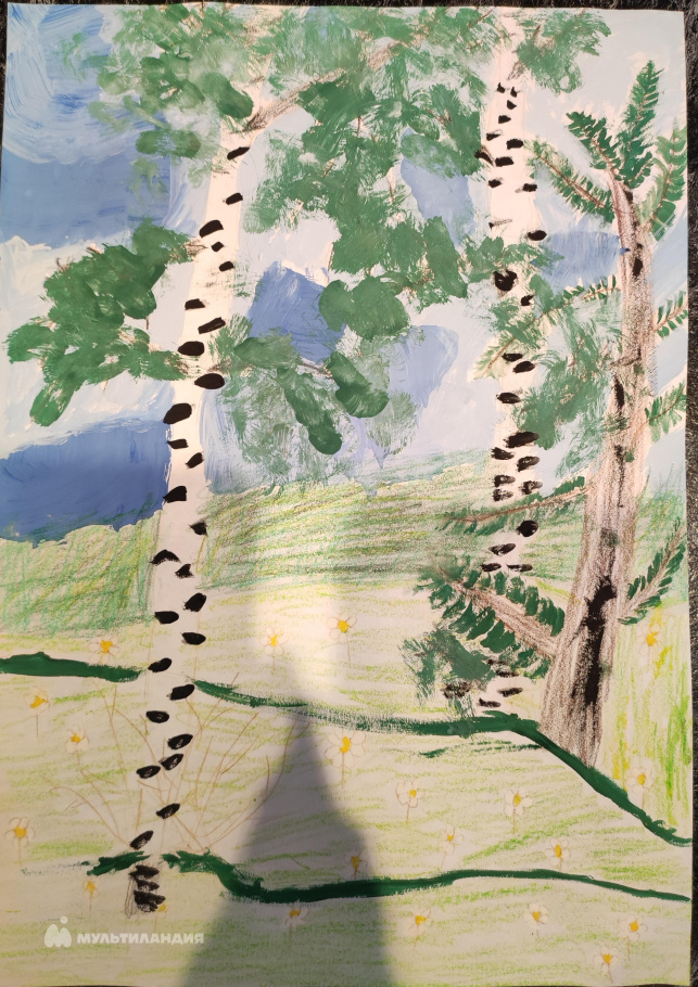 Кадомцева Виктория