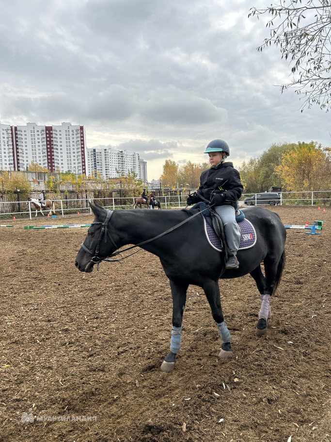 Павлов Михаил