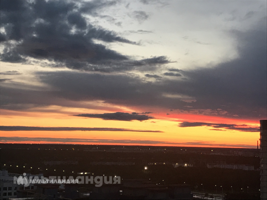 Алёна Шутова