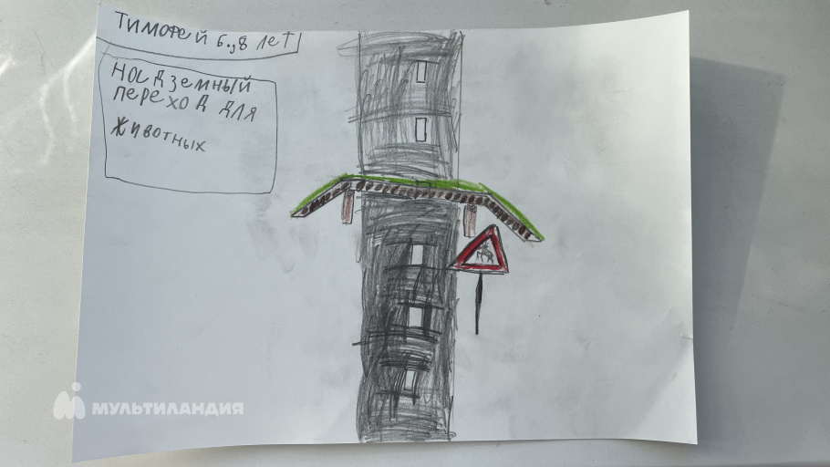 Бондаренко Тимофей