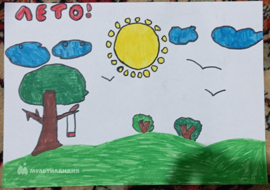 Конева Камилла