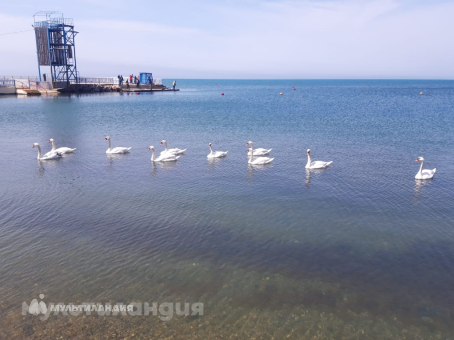 Матвей Гвоздиков