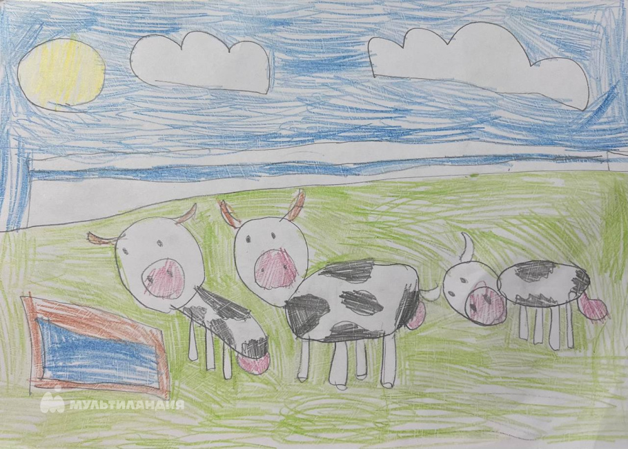 Чирик  Анастасия 