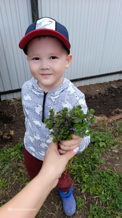 Таштимиров  Роберт 