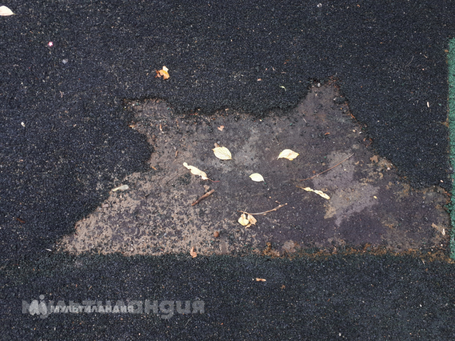 Абаськина Вера