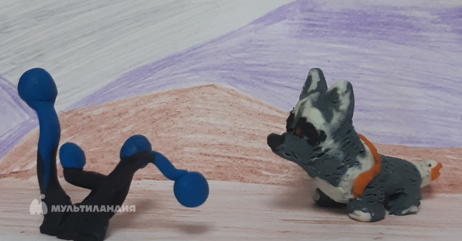 Мальцева  Мира