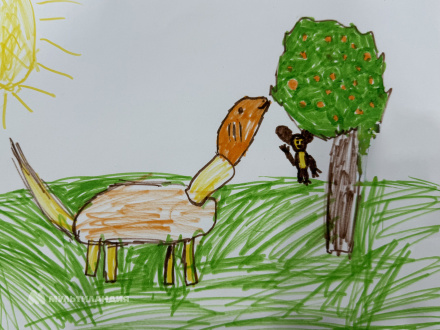 Федоров Тимур 