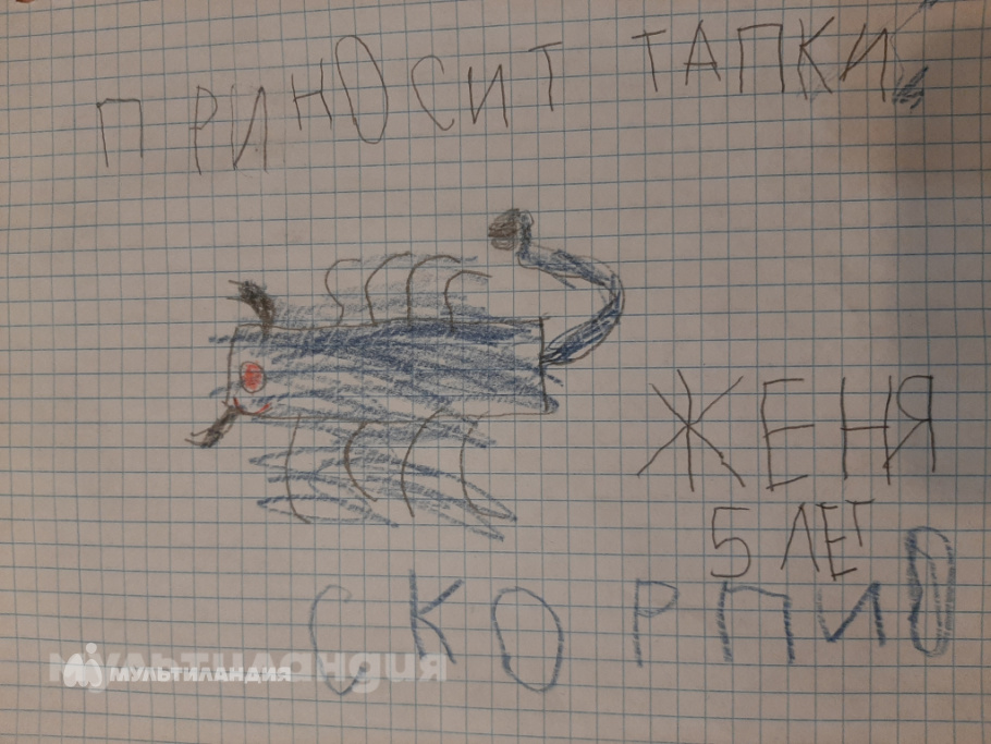 Евгений Балковой