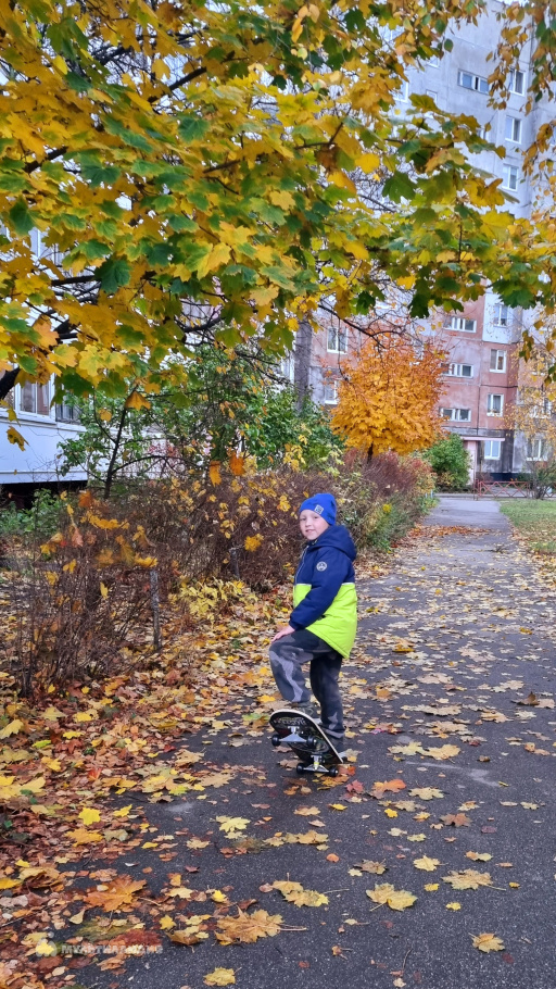 Обогрелов Ярослав