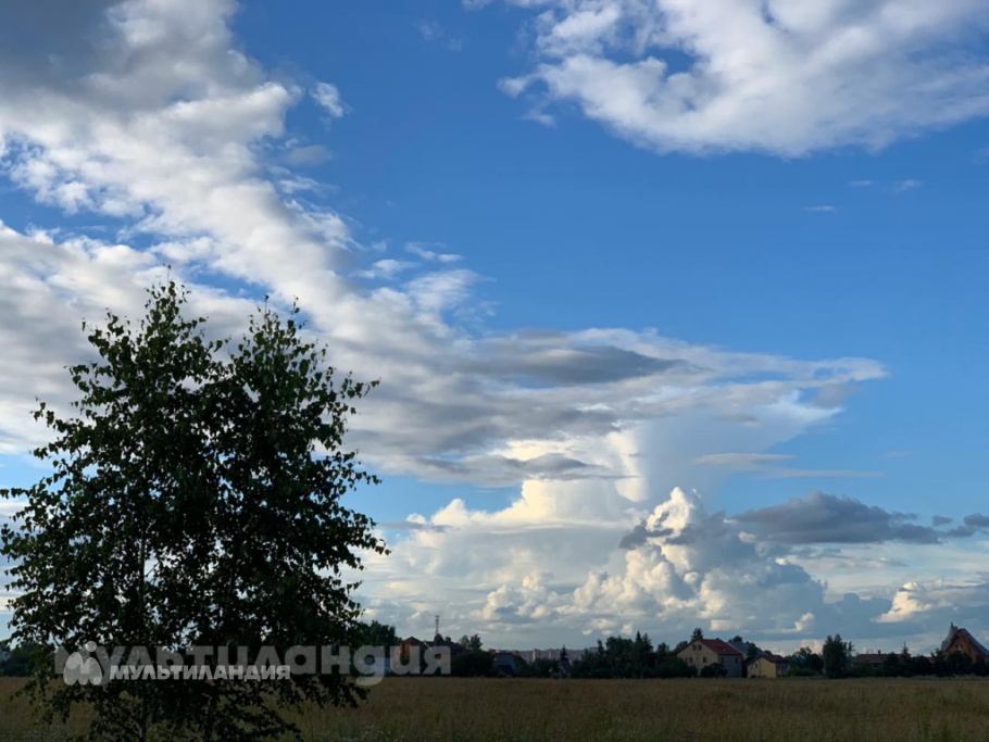 Шуянова Александра