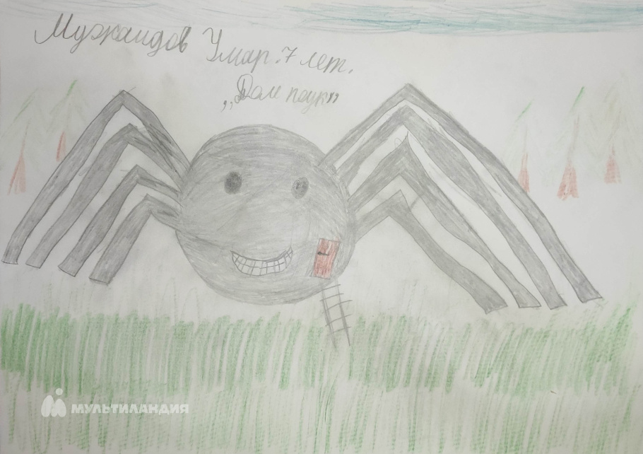 Мужаидов Умар