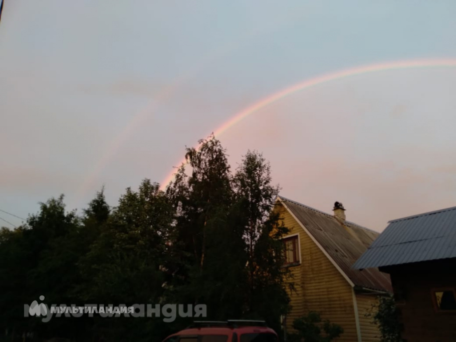 Николай Минченков