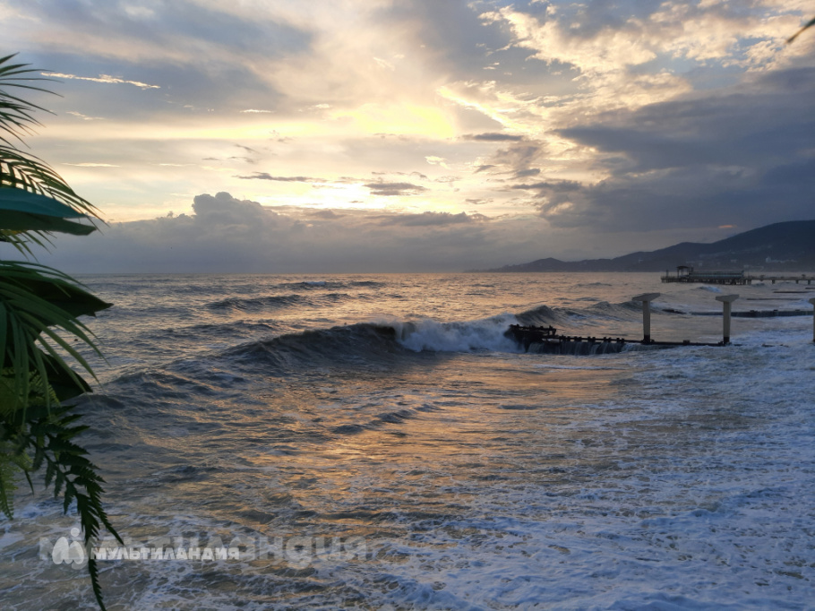 Малыхина Екатерина