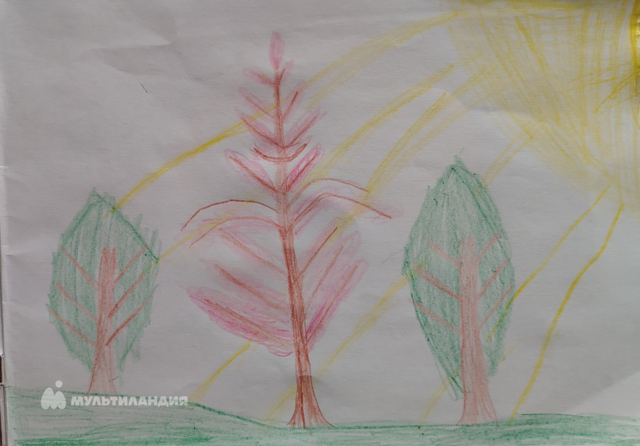 Хайбуллин  Марат