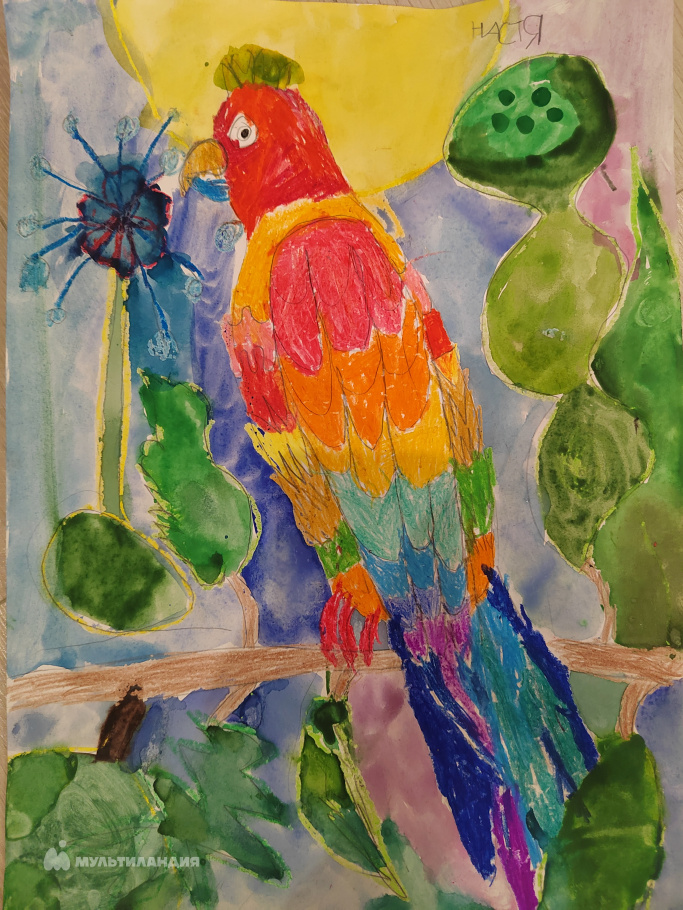 Шатохина Анастасия