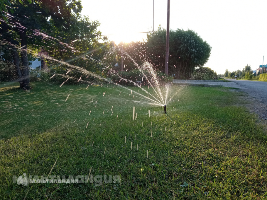 Милана Колотилина