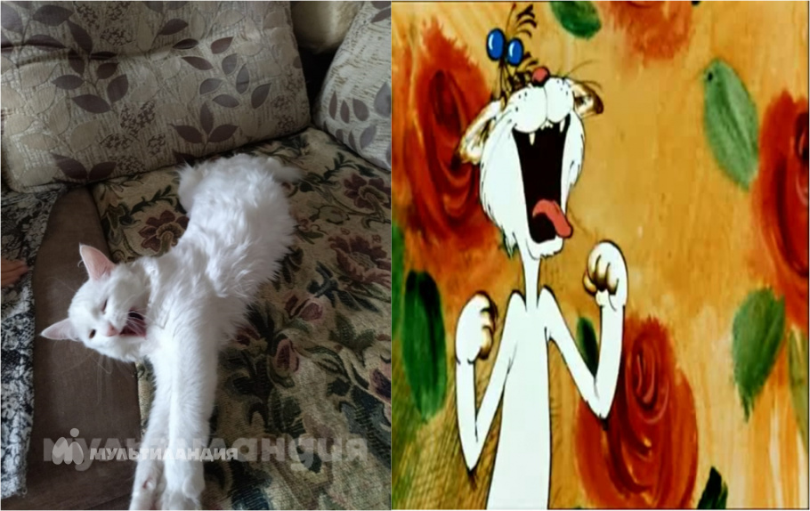 Дарья Чеченихина