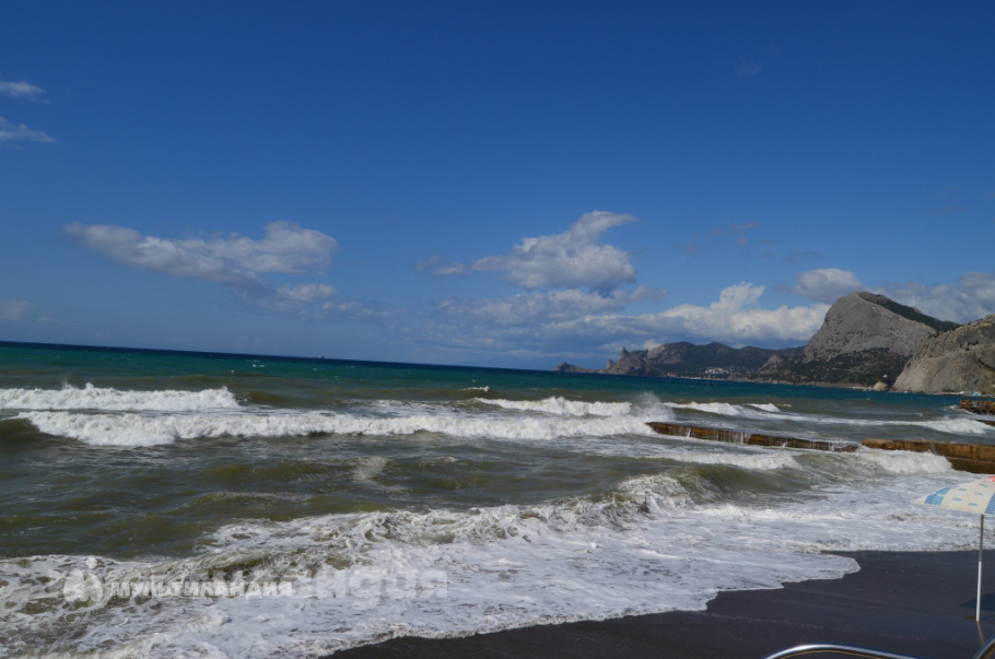 Пожидаева Ульяна