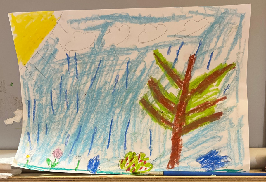 Сорокина Дарья