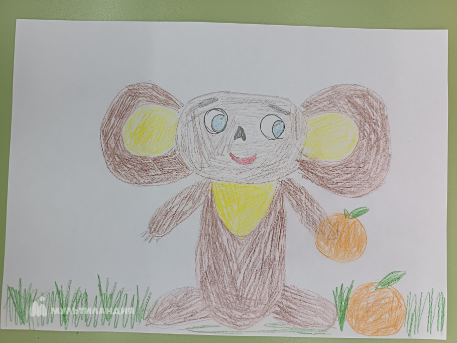 Заева Анастасия