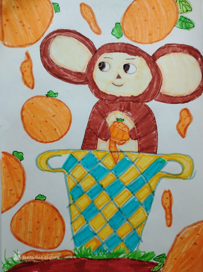 Самолетова Илана