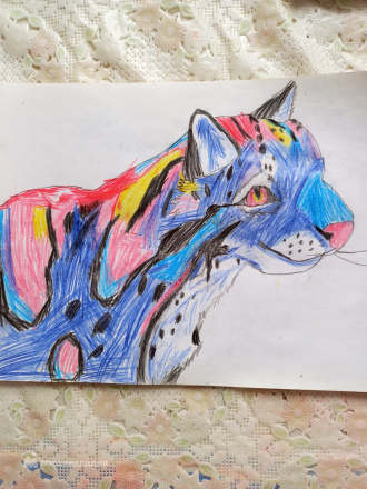 Котина Софья Котина Софья