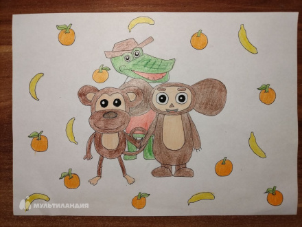 Камшибаева Амалия 