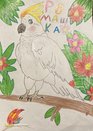 Половинка  Валерия 