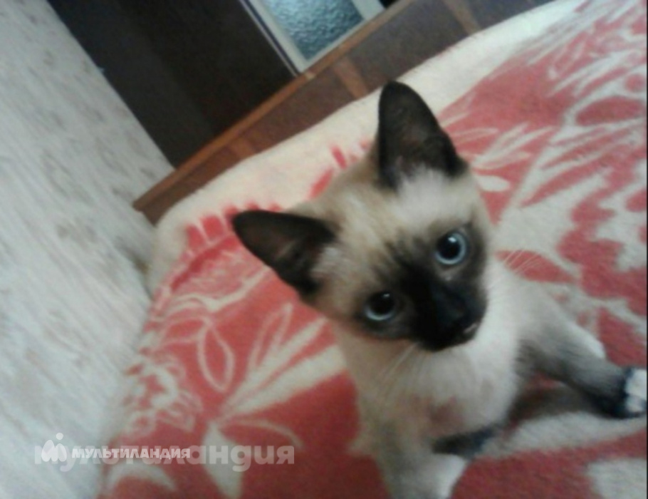 Александр Руденков