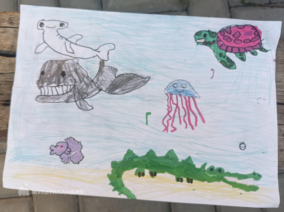 Лохматова Анна